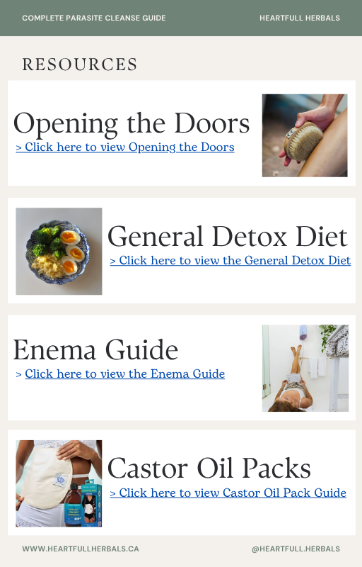 Complete Parasite Cleanse Guide