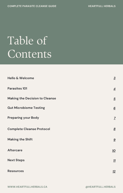 Complete Parasite Cleanse Guide