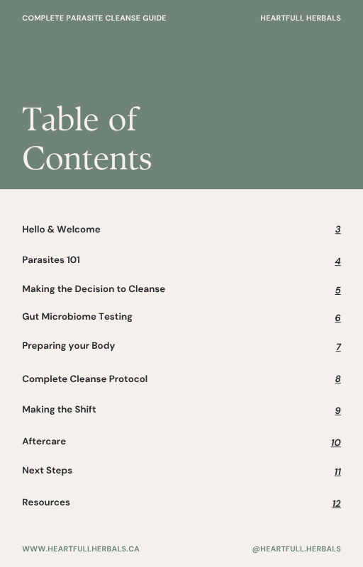 Complete Parasite Cleanse Guide